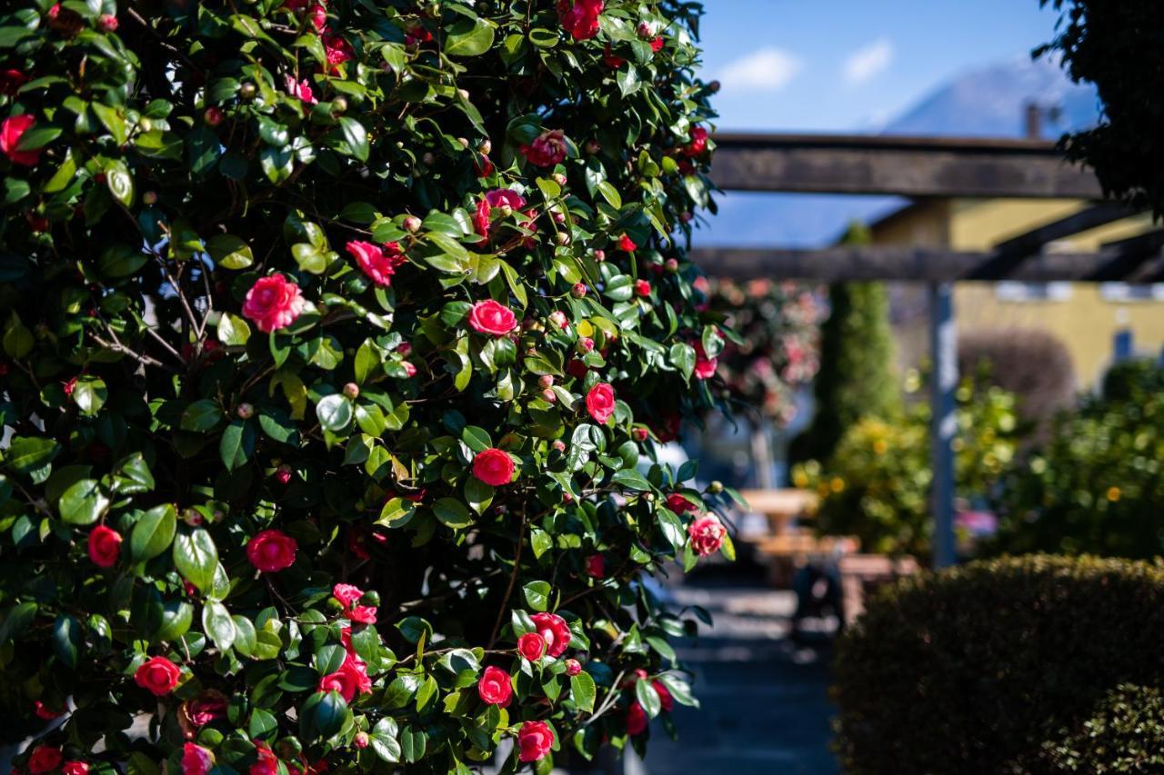Hotel Mulino Ascona Exterior foto